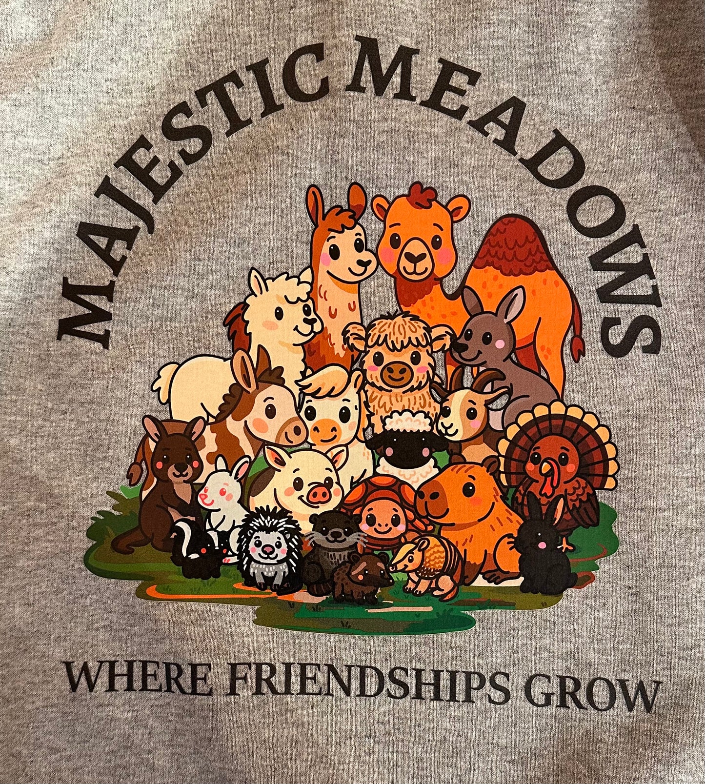 SW Youth Family Picture Sweatshirt