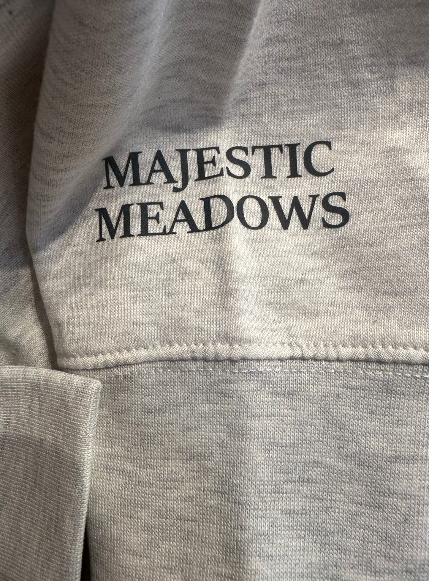 SW Adult Family Picture Sweatshirt