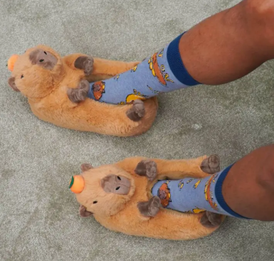 OYS Capybara Slippers