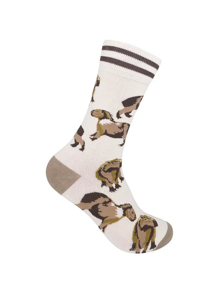 Capybara Socks