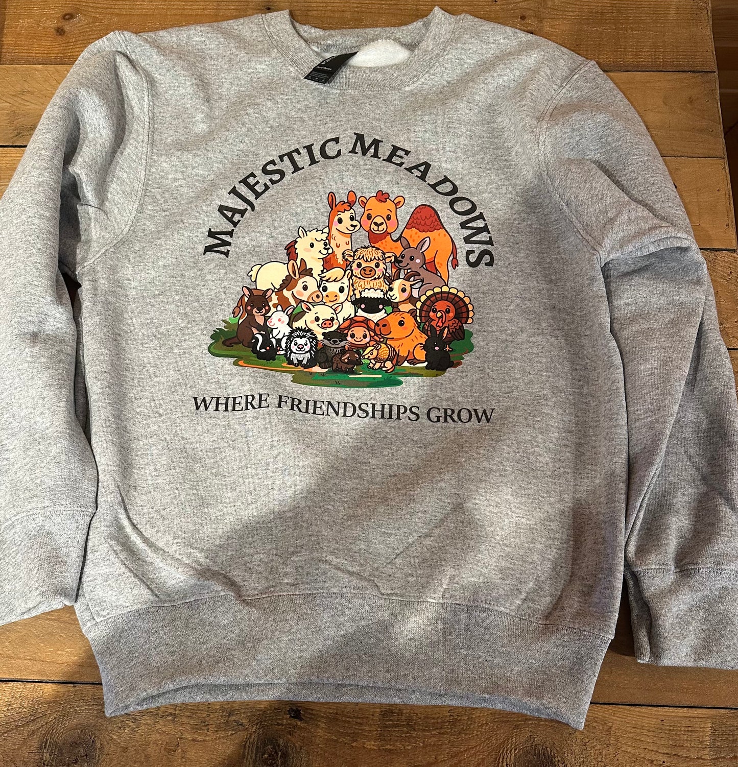 SW Youth Family Picture Sweatshirt