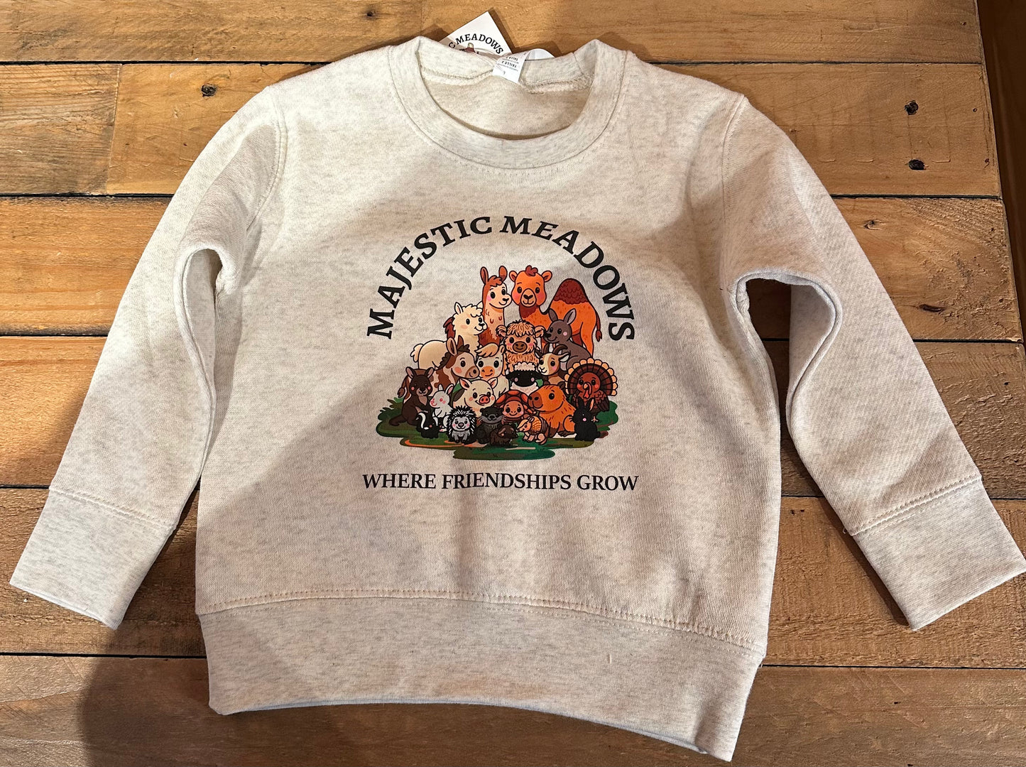 SW Toddler Family Picture Sweatshirt