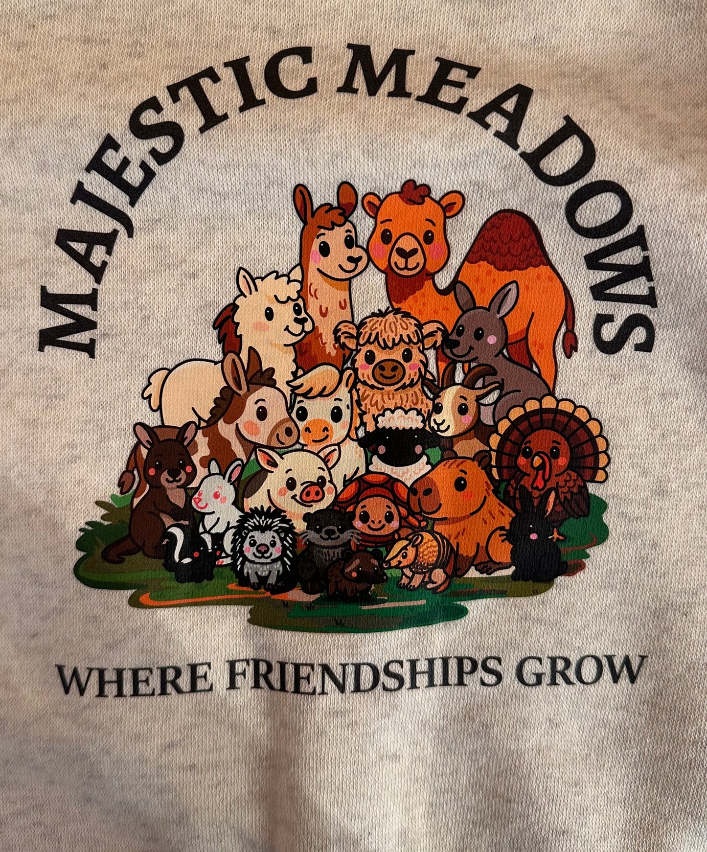 SW Toddler Family Picture Sweatshirt