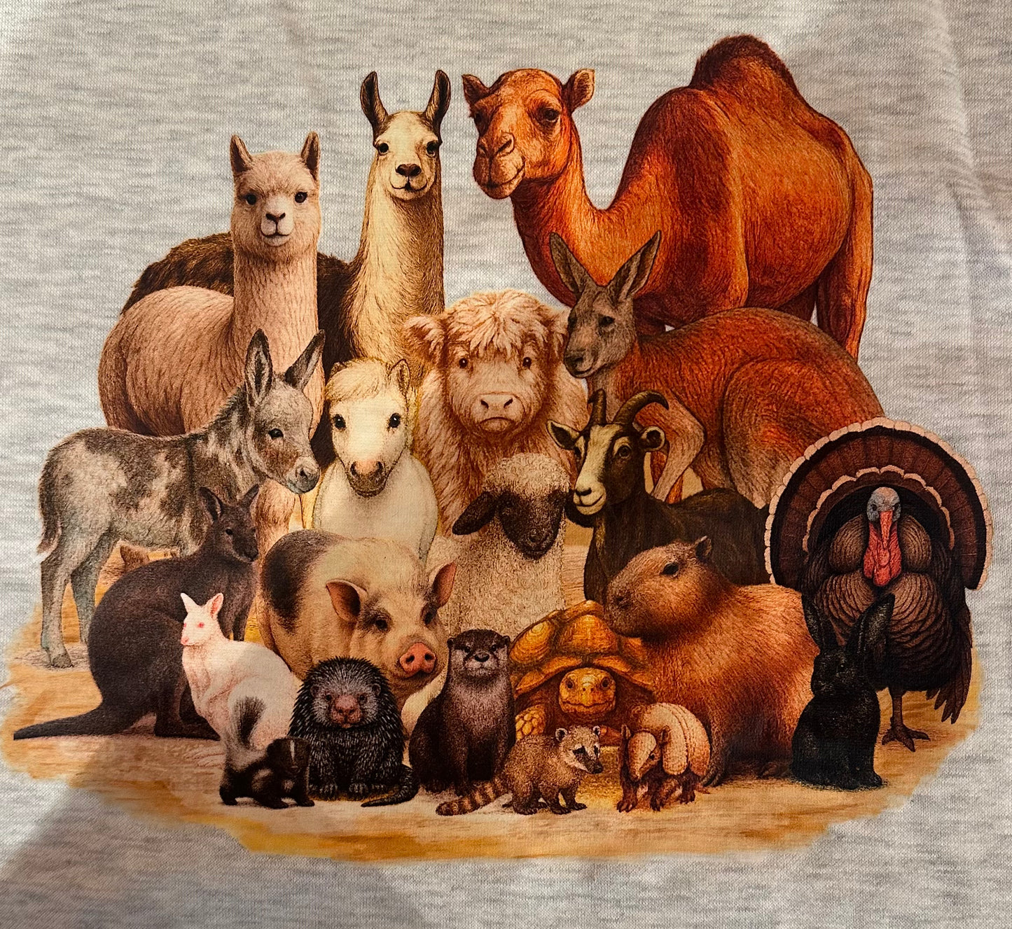 SW Adult Family Picture Sweatshirt