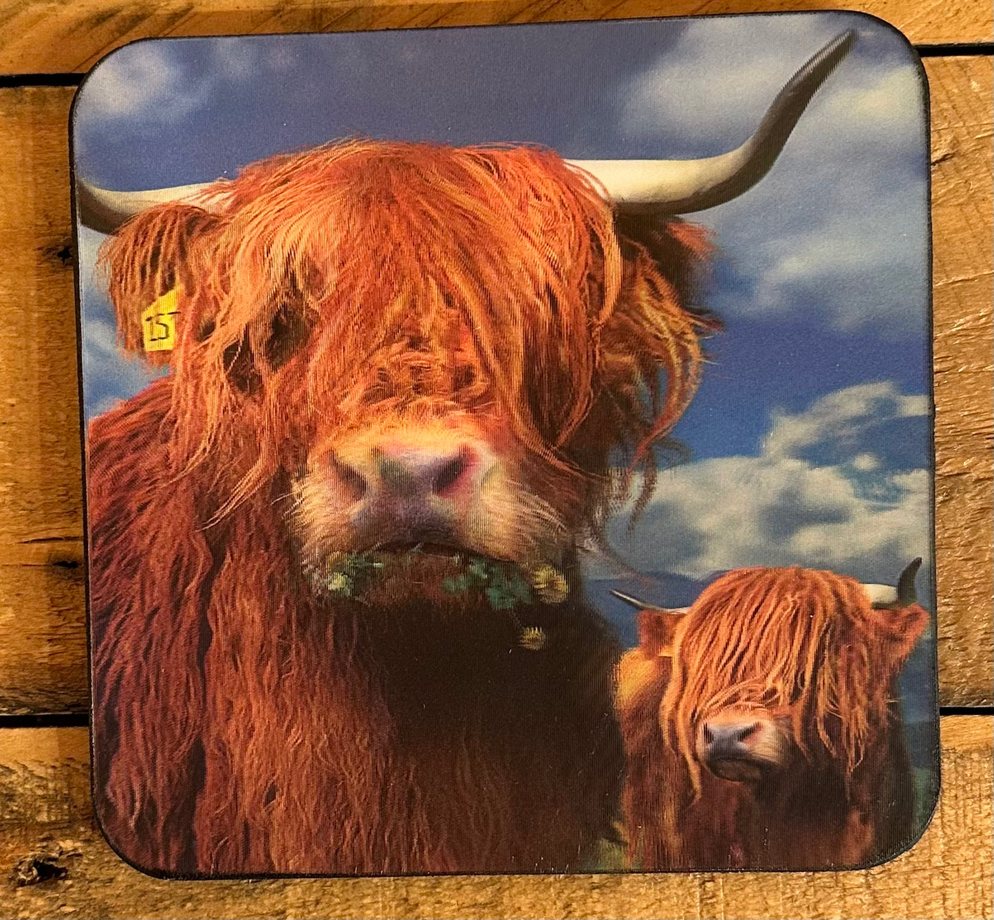 DB 3D LiveLife Coaster