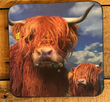 DB 3D LiveLife Coaster