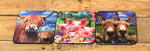DB 3D LiveLife Coaster
