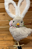 K&K Gray Chick w/Bunny Ears