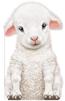 SB Furry Lamb Book