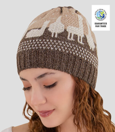 CA Alpaquita Knit Hat