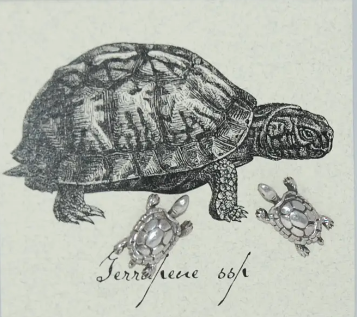 S&B Turtle Stud Earrings