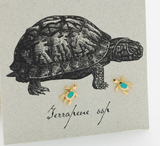 S&B Turquoise Turtle Earrings