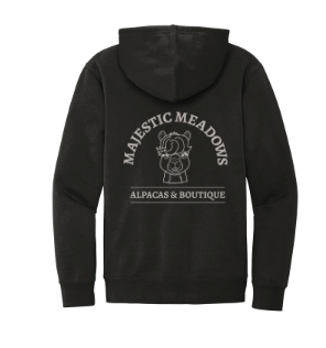 SW Adult Logo Hoodie