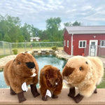 Medium Capybara made with Alpaca Fiber